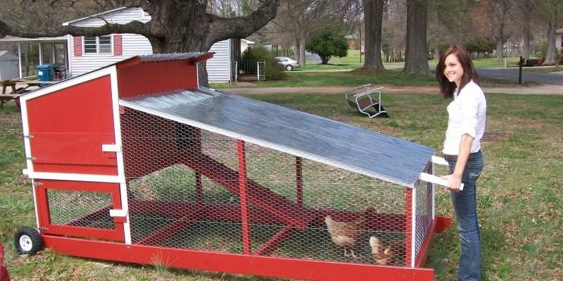 10 Portable Chicken Coop Plans [Easy to Move]