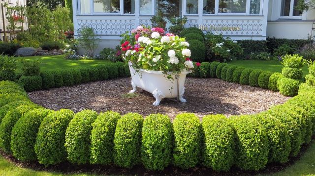 15 Awesome and Cheap Landscaping Ideas: #7 Is Too Easy