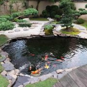 15 Backyard and Garden Pond Design and Ideas