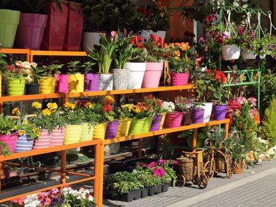 20 Best Online Gardening Stores