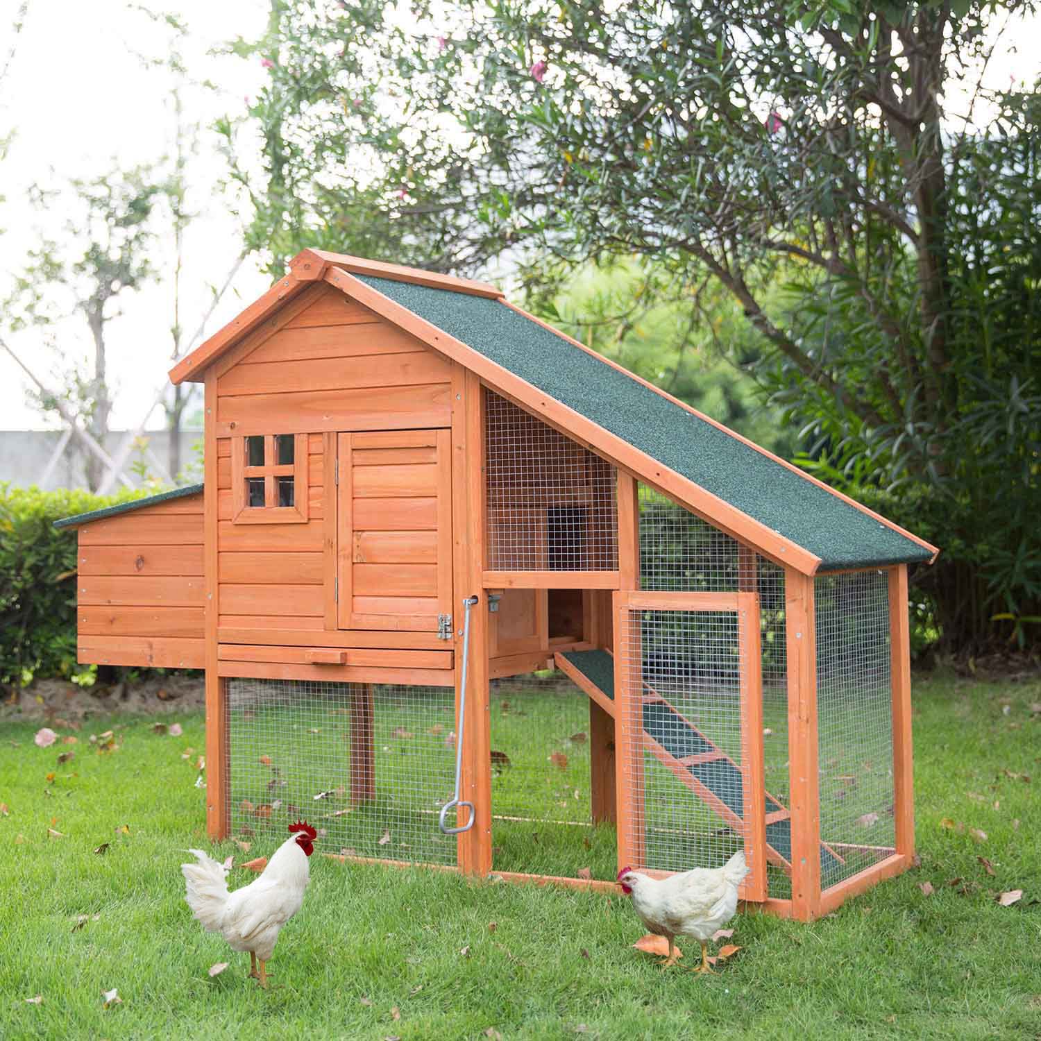 happy henhouse automatic chicken coop door manual