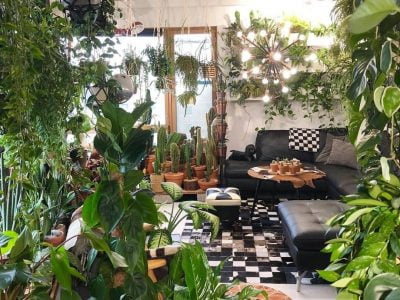 Adorable Indoor Garden Ideas You Should Apply