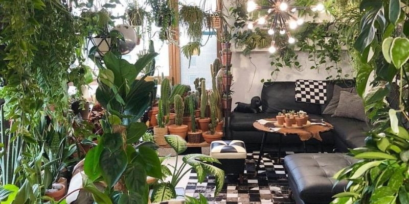 Adorable Indoor Garden Ideas You Should Apply