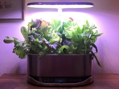 AeroGarden Bounty Review