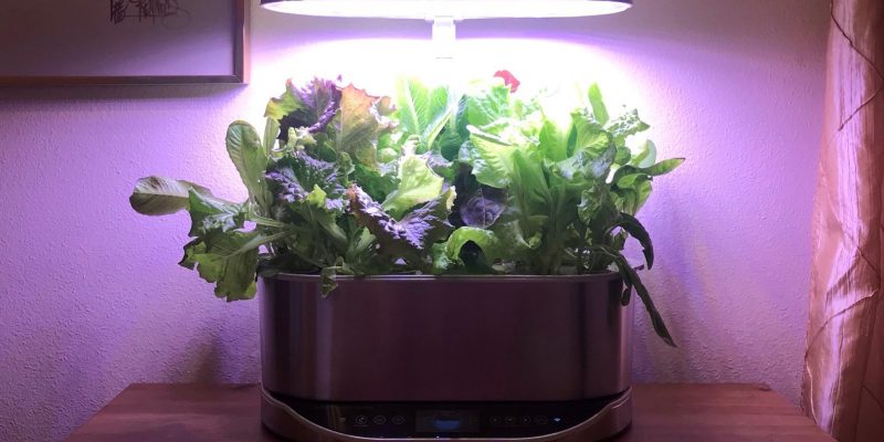 AeroGarden Bounty Review