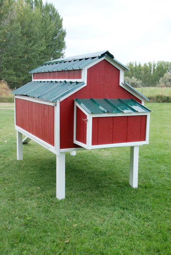 10 Small Chicken Coop Plans Build Amazing Hen House 