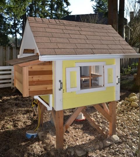 Chicken Coop 2