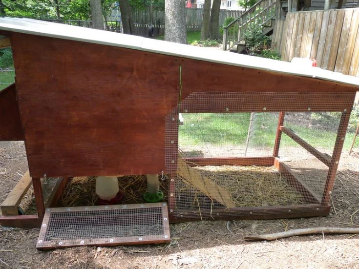 Chicken Coop