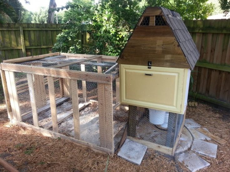 Improvised Simple Coop