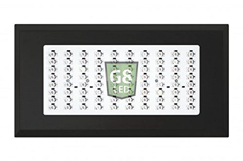 G8LED Light