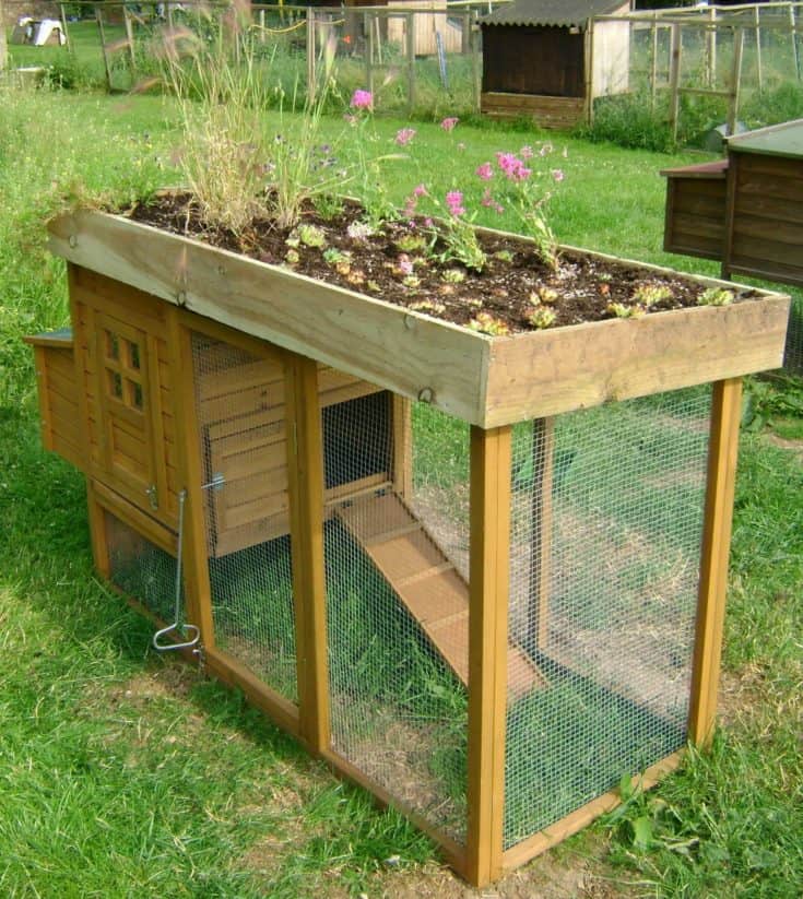 Rooftop Garden Bed Design