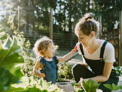 Health Benefits of Gardening and Why You Need to Do It? 