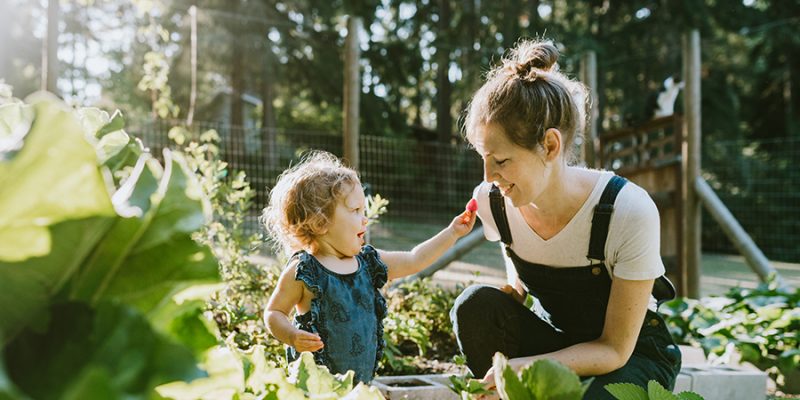 Health Benefits of Gardening and Why You Need to Do It? 