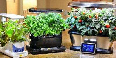 How to Clean Your Aerogarden - Step By Step Guide - Organize With Sandy