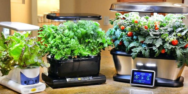 How to Clean Your Aerogarden