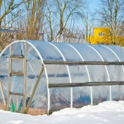 How to Use Greenhouse in Winter?