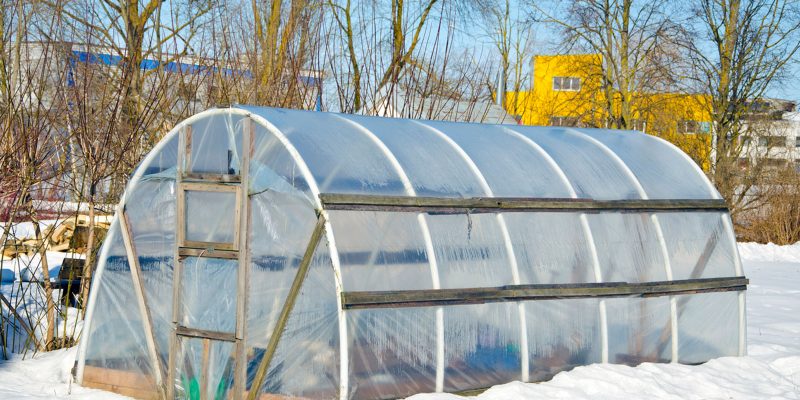 How to Use Greenhouse in Winter?