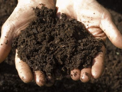 How to Use a Soil Test Kit: A Guide to Your Soil Health