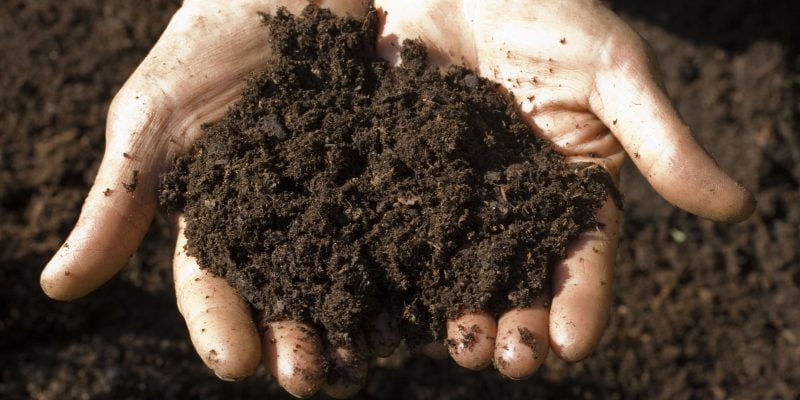 How to Use a Soil Test Kit: A Guide to Your Soil Health