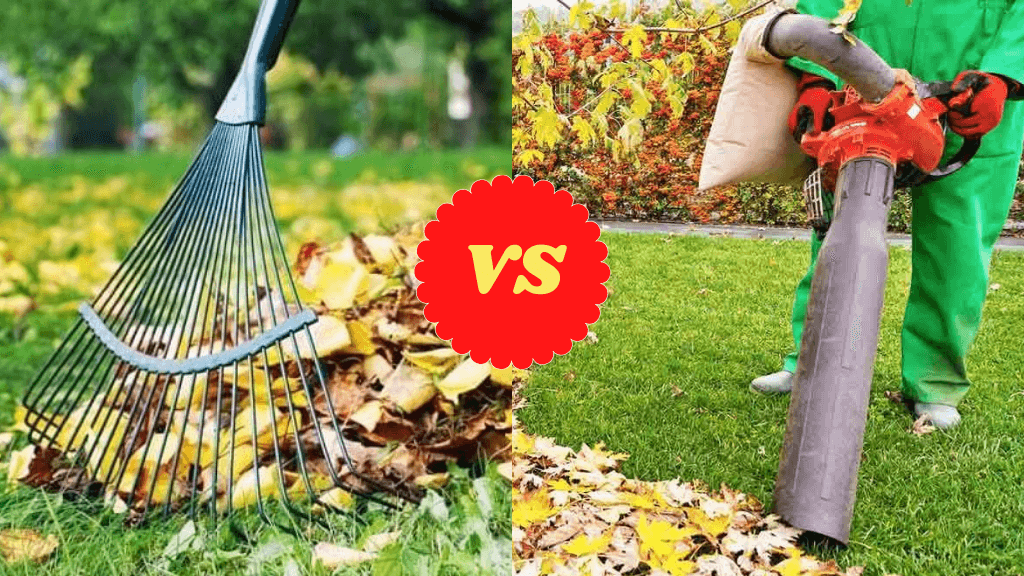 Leaf Blower vs Rake