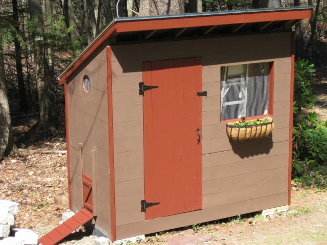 Secure Chicken Coop and Run Design