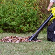 Should You Buy a Leaf Blower or a Rake?