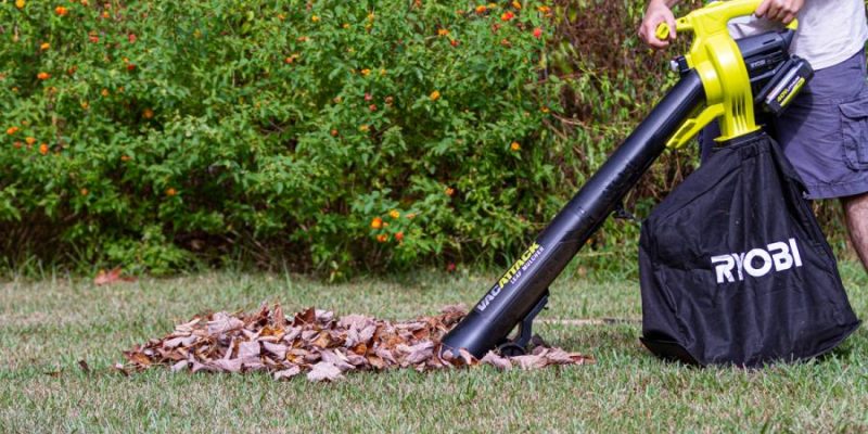 Should You Buy a Leaf Blower or a Rake?