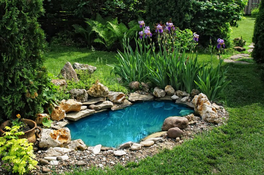 Simple Garden Pond