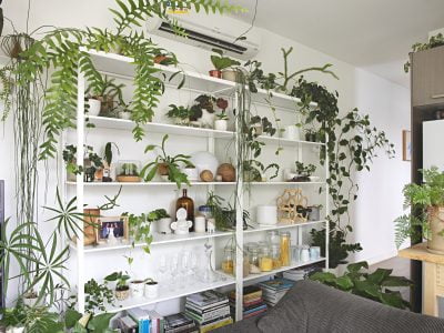 The Best Indoor Plant Stands & Shelves for Your Home in 2020