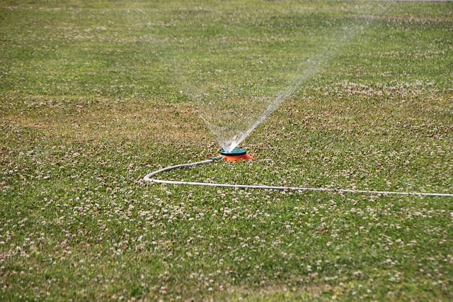 Watering of the Patch