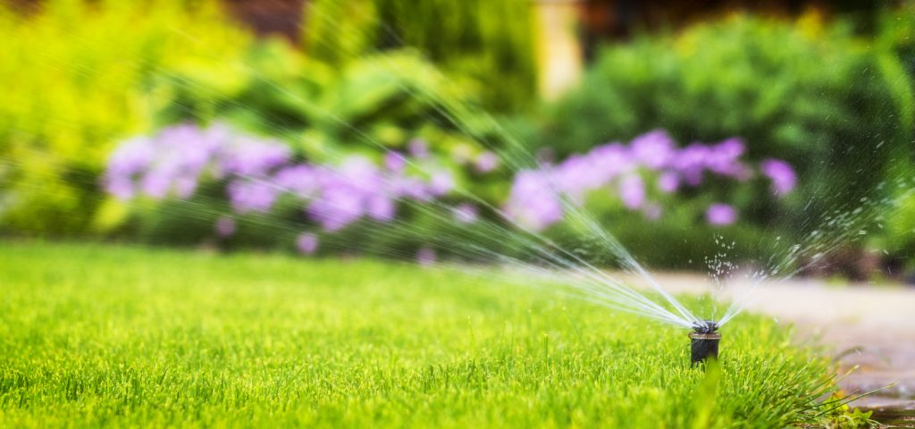 Watering the Lawn