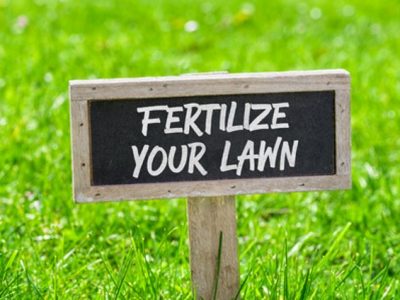 What Fertilizer Numbers to Use in Spring - Lawn Fertilizer Guide 2020