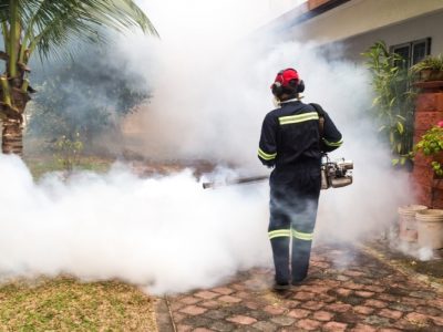 What Is A Mosquito Fogger, and Do They Work?