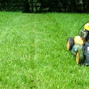 What is the Best Height to Cut Grass?