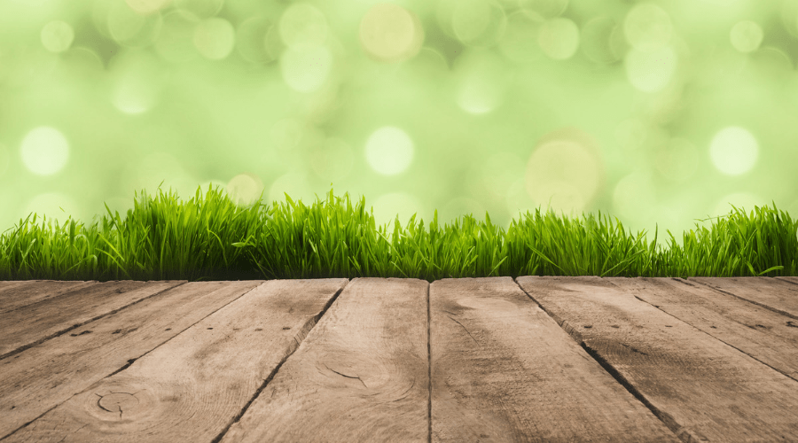 What is the Best Height to Cut Grass