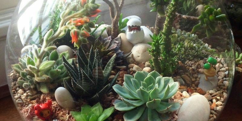 15 Succulent Terrarium Ideas