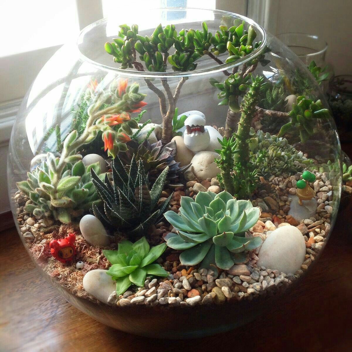 15-of-the-best-succulent-terrarium-ideas-organize-with-sandy