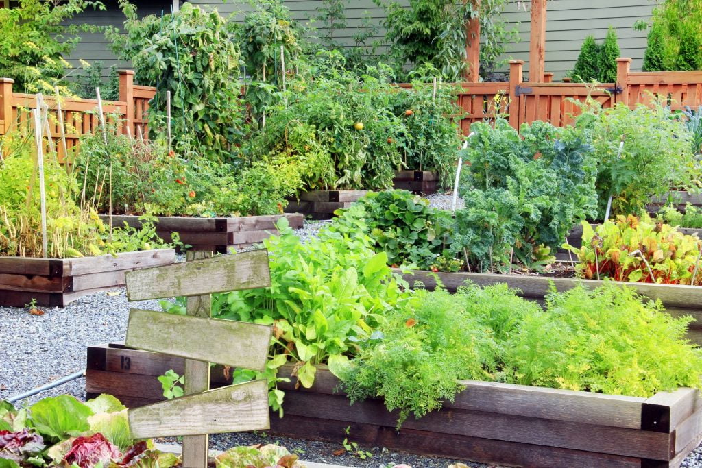 20 Backyard Garden Ideas - Small or Large