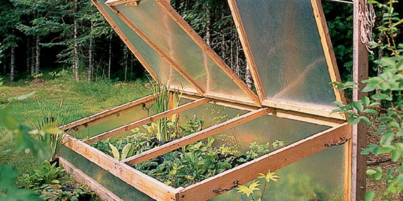 20 Greenhouse Cold Frame Designs