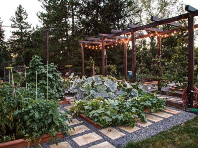 28 Fabulous Garden Box Ideas