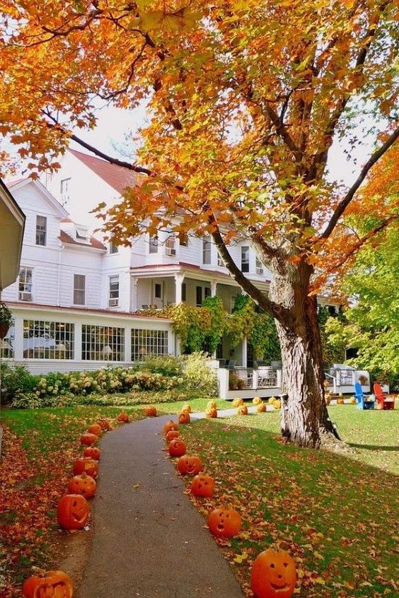 Autumn Walkway