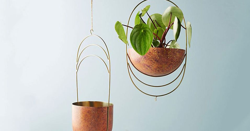 Benefits of hanging plants