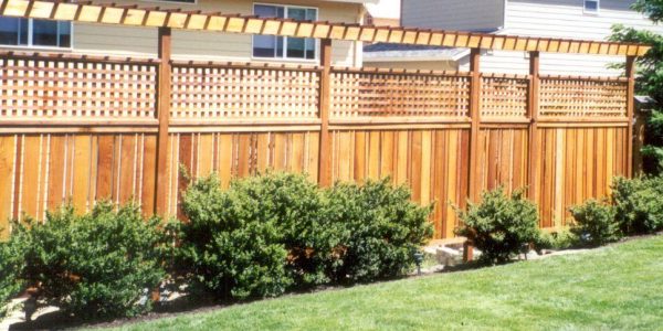 Can You Put Trellis on Top of a 6ft Fence? - Organize With Sandy