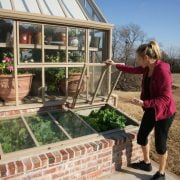 Cold Frame Vs. Greenhouse