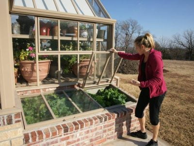 Cold Frame Vs. Greenhouse