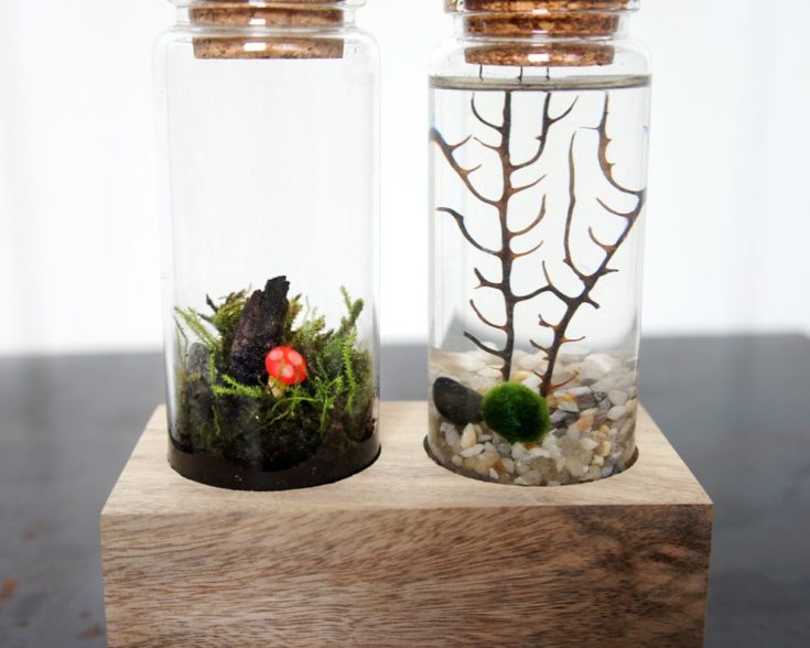 Cork jar Ideas