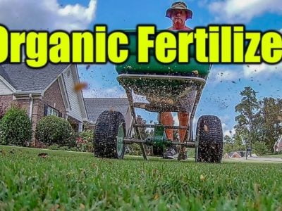 Dr. Earth Lawn Fertilizer Review 2020