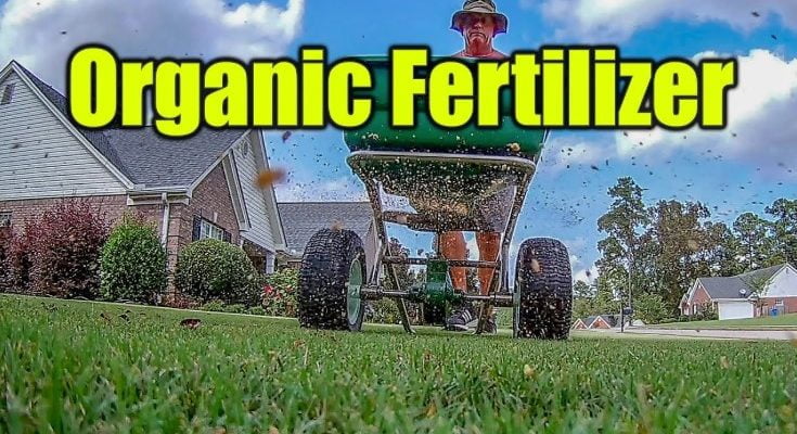 Dr. Earth Lawn Fertilizer Review 2020