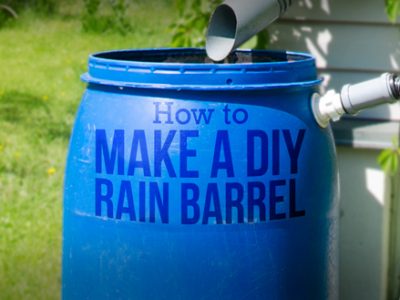 Easy DIY Rain Barrel at Home: A Step by Step Guide