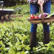 Everything You Need to Know to Start Your Own Garden